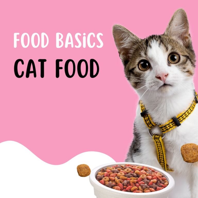 Cats food & care at food basics