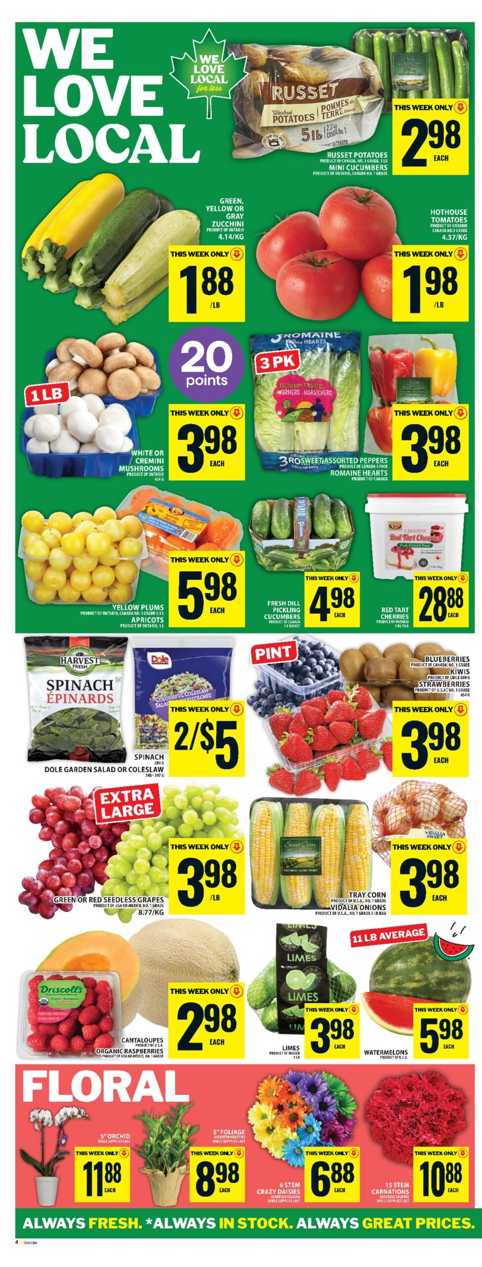 food basics weekly flyer for July 17 2025